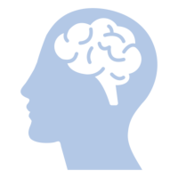 IntraSight icon smart