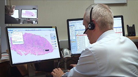 Consultor&iacute;a estrat&eacute;gica